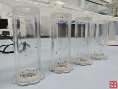 关流行症风险增高